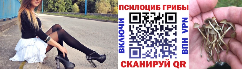Псилоцибиновые грибы прущие грибы  Купить  Красноярск 