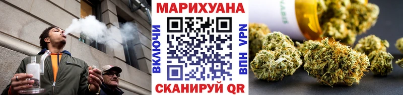 Конопля OG Kush  Купить где  Красноярск 